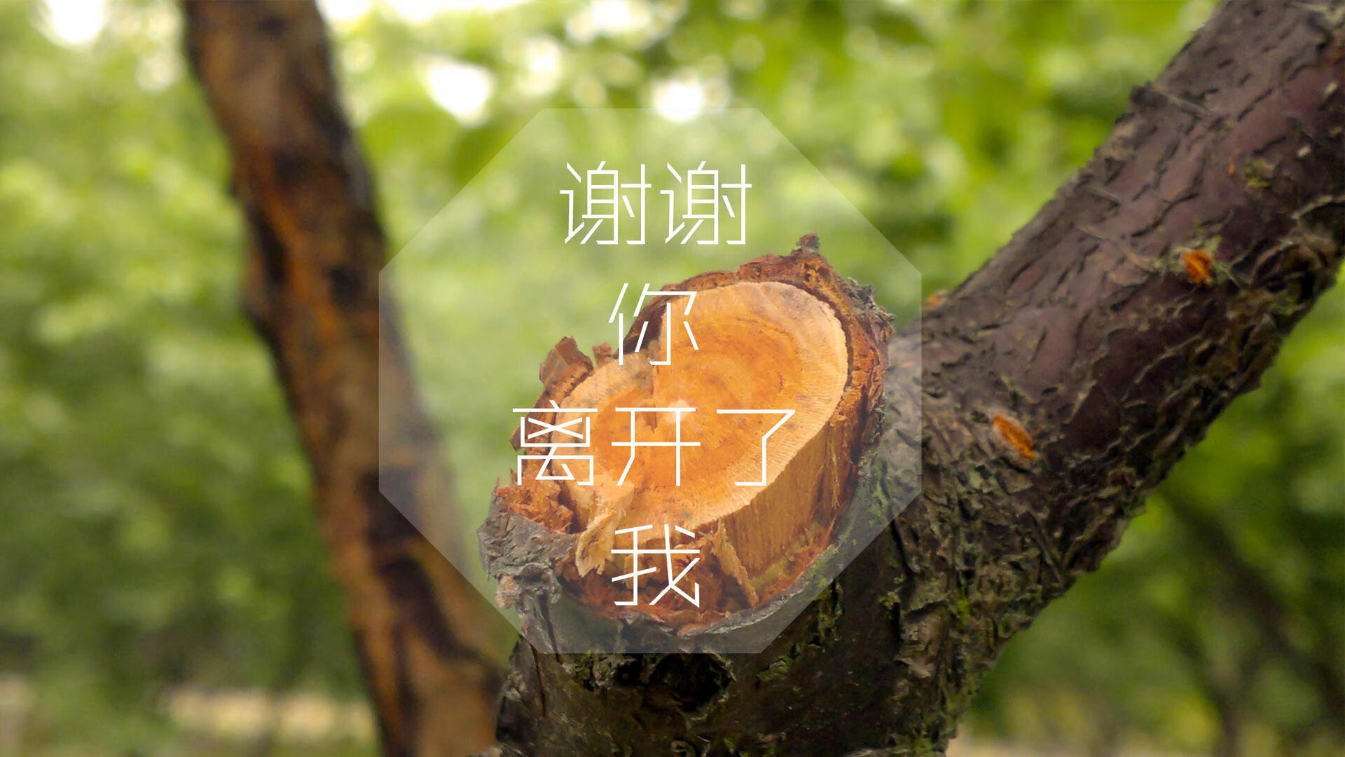 “智能裁判系统在中超首次应用，保障比赛公平公正”，人工智能足球裁判