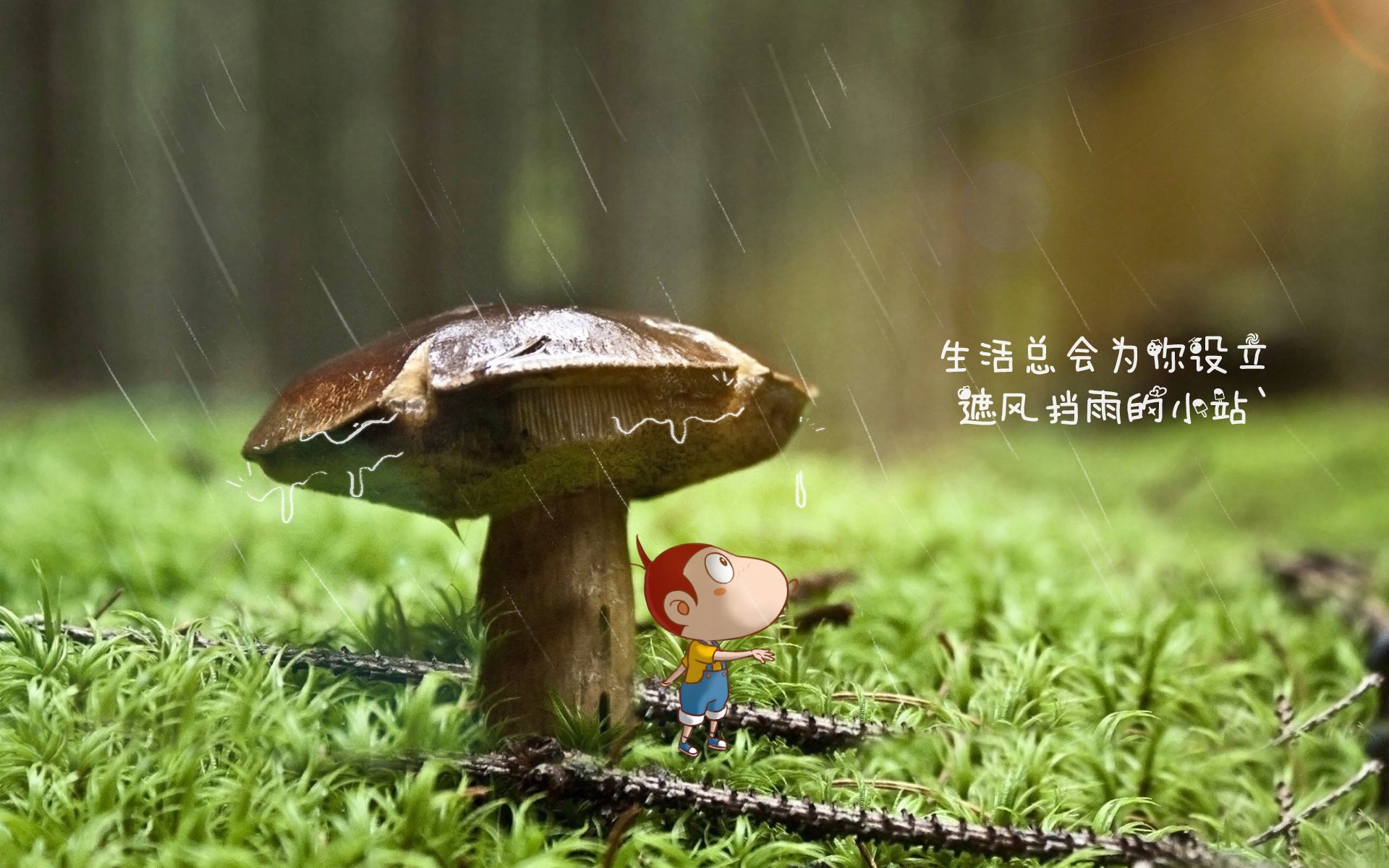 “意甲争夺欧冠名额，强队皆在拼搏”，意甲联赛欧冠名额