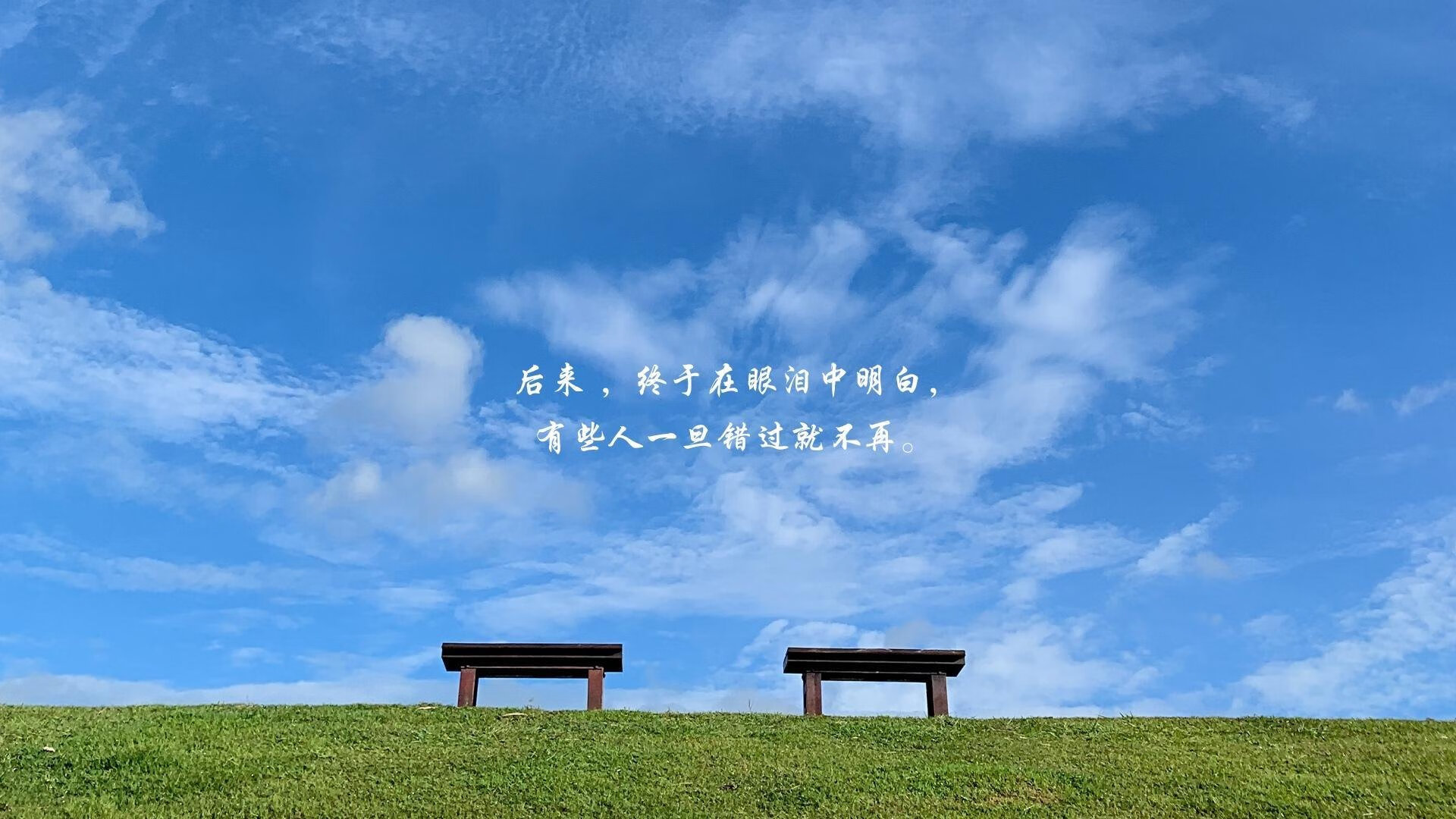 速降自行车赛：山地极速挑战，山地速降比赛