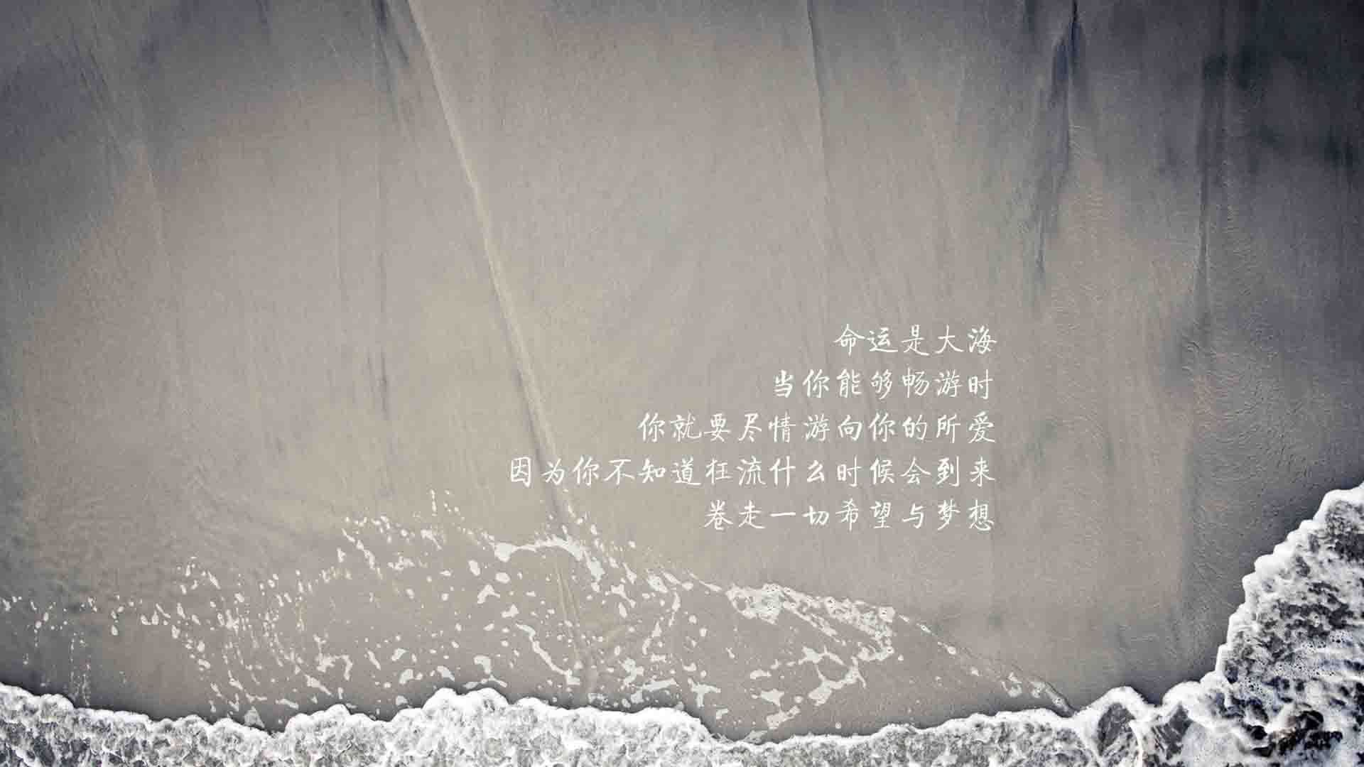 球员动态不断，各支球队备战状态火热，准备好球员