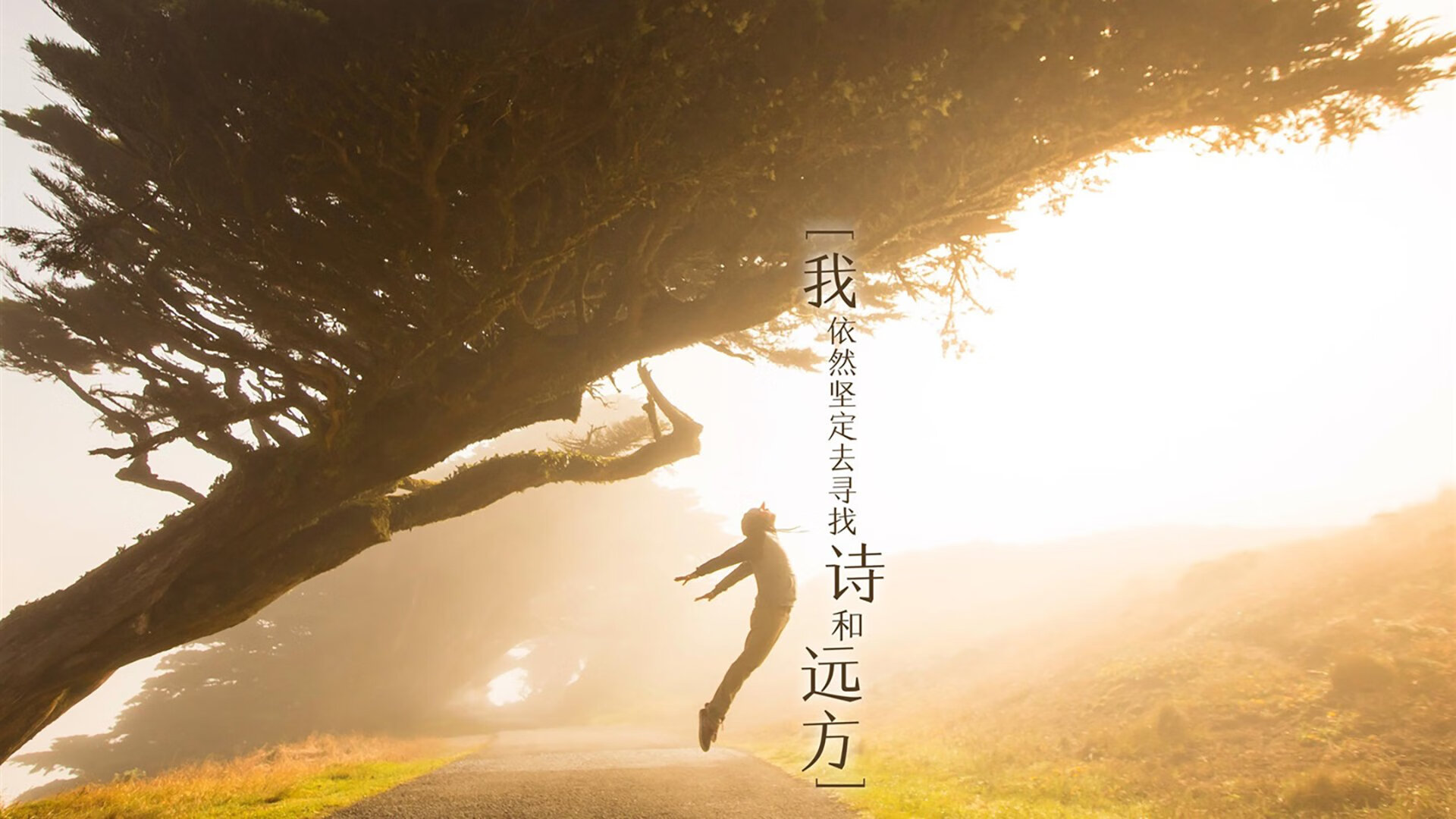 足球人口结构是否制约国家队选材空间，足球人数分配