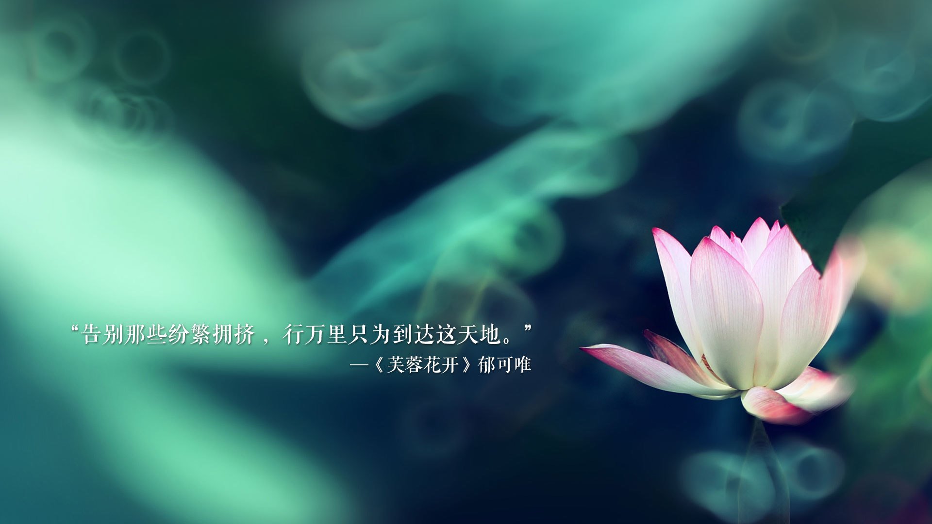 九游（jiuyou.com）游戏-阿塞拜疆执行守望先锋 欧预赛首轮全力以赴，守望先锋联赛锦标赛