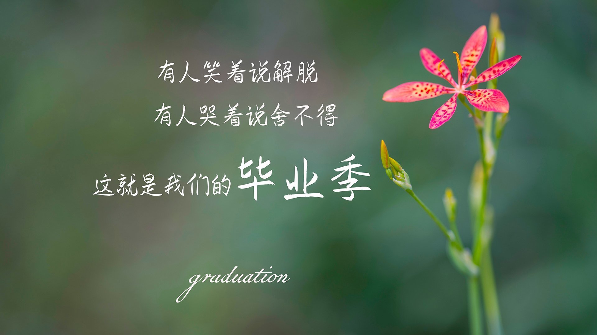 青少年篮球暑期特训班强调技巧与身体素质双向突破,青少年篮球培训课程安排